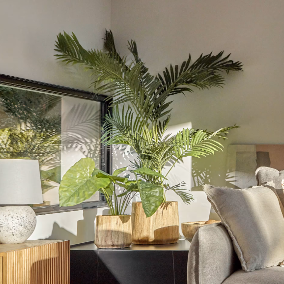 Plante artificielle Alocasia