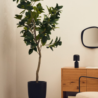 Plante artificielle Ficus 210 cm