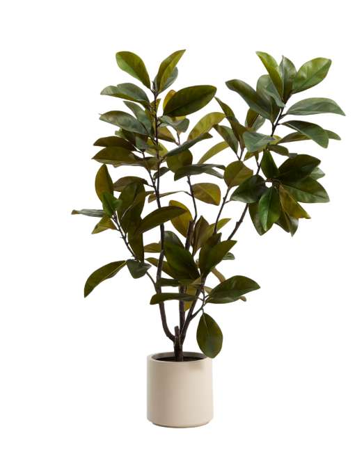 Plante artificielle Magnolia 160 cm