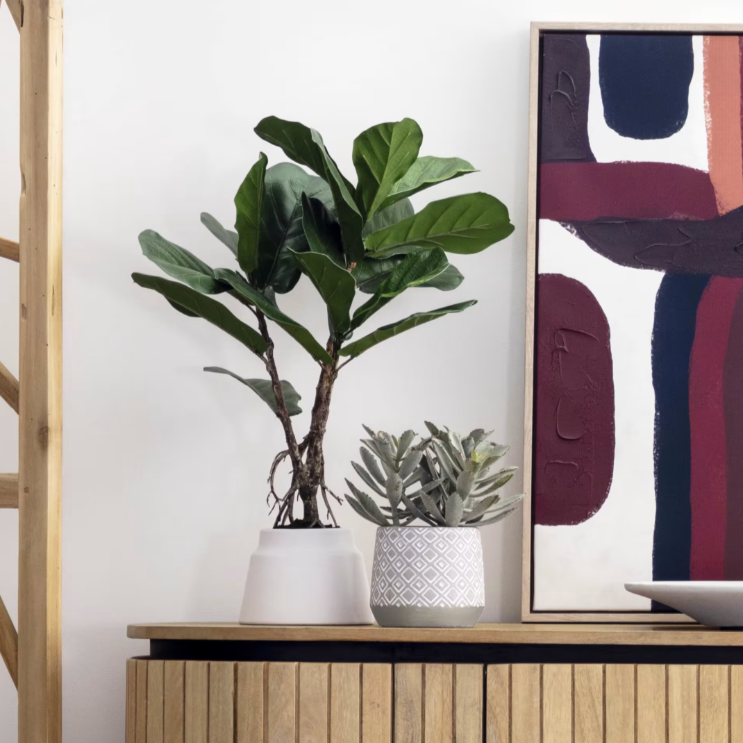Plante artificielle Lyrata