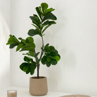 Plante artificielle Ficus