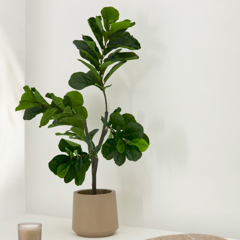 Plante artificielle Ficus