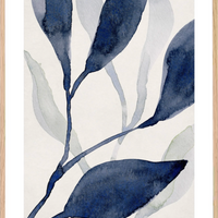 Affiche encadrée - Aquavia II