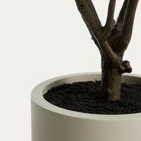Plante artificielle Calella – vue de face, détail du feuillage