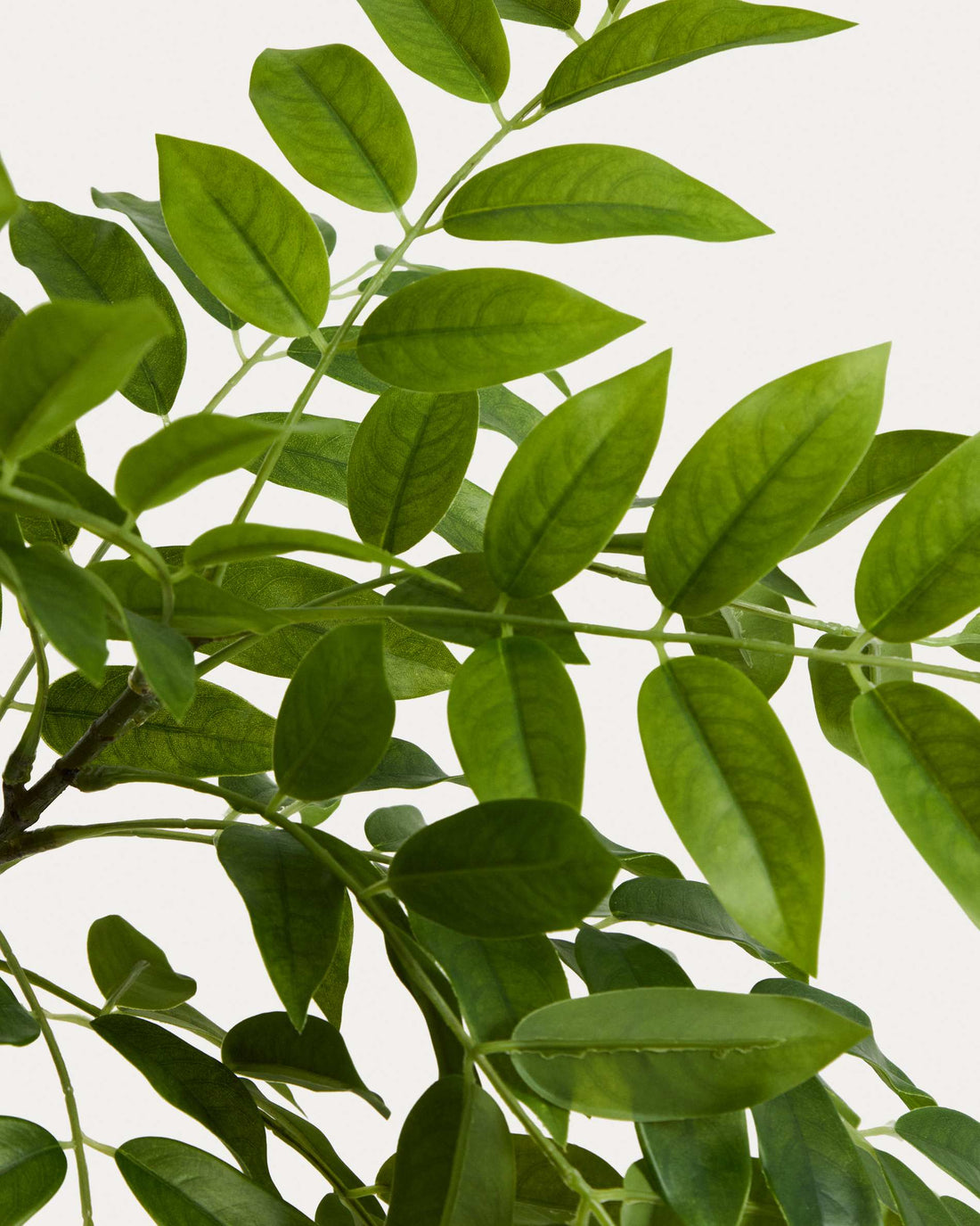 Plante artificielle Calella – détail du tronc et du feuillage