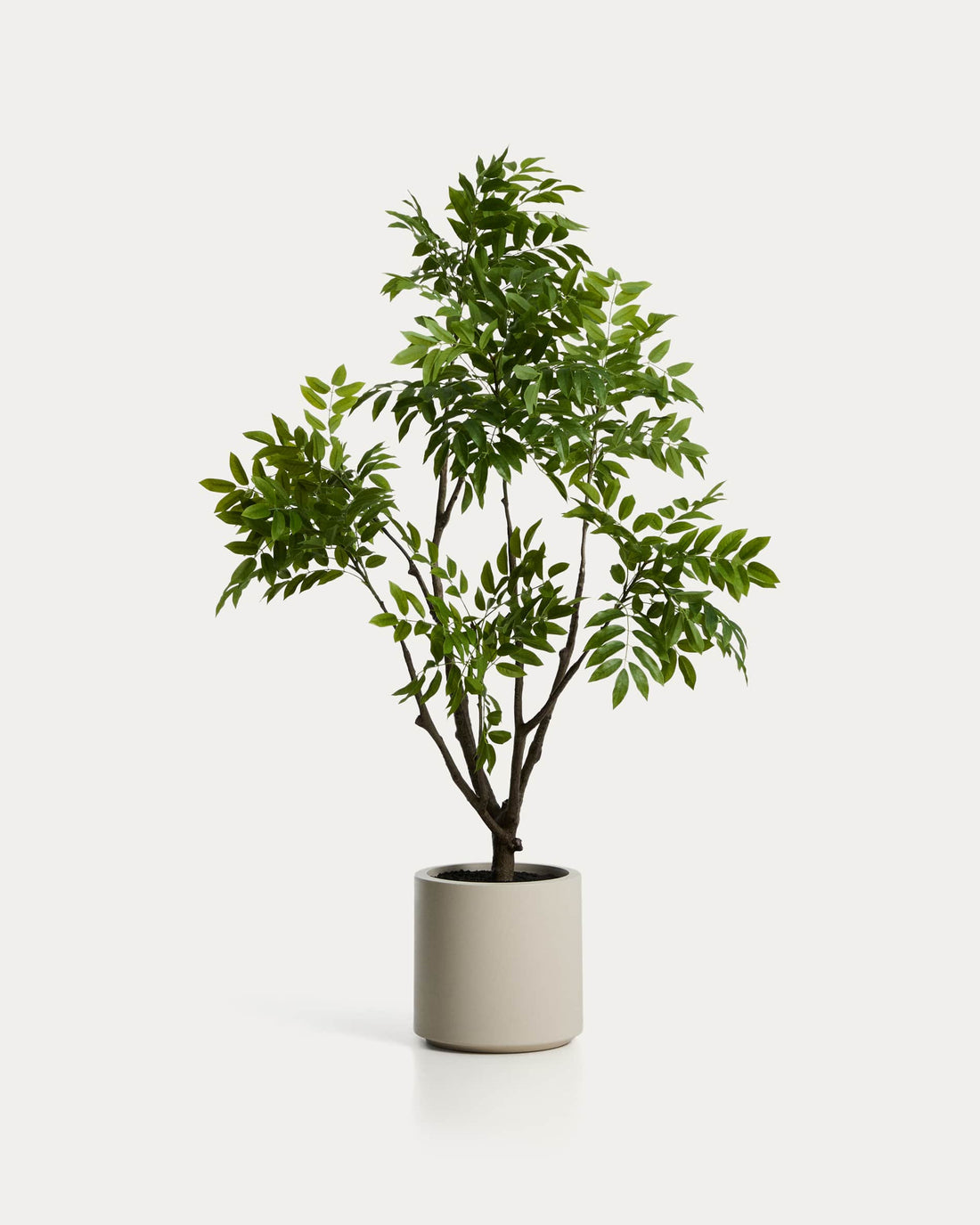 Plante artificielle Calella – vue détourée
