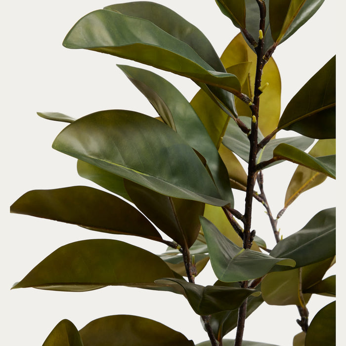 Plante artificielle Magnolia – détail du feuillage