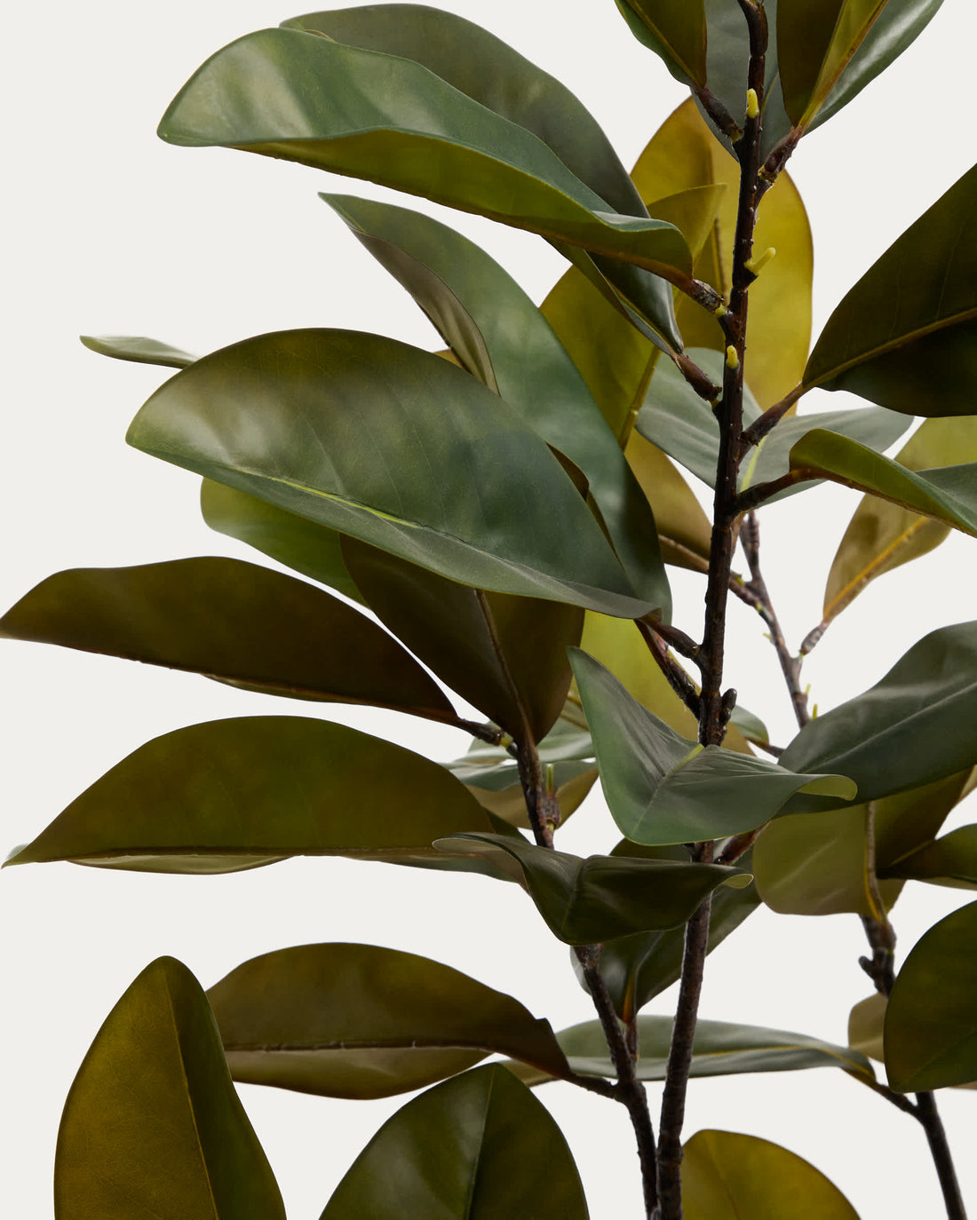 Plante artificielle Magnolia – détail du feuillage