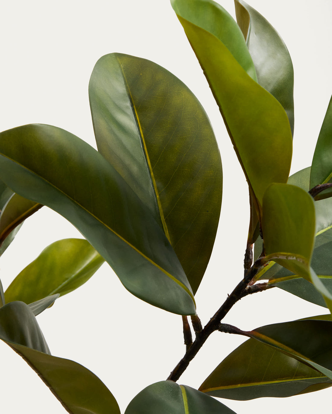 Plante artificielle Magnolia – vue de côté