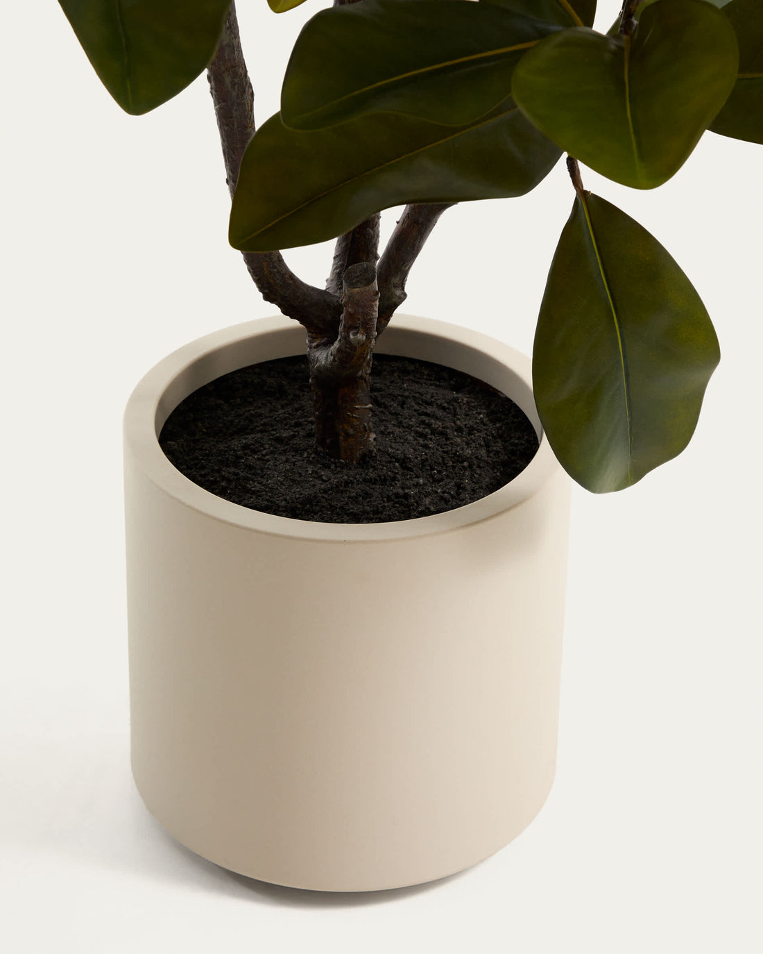Plante artificielle Magnolia – vue de dos