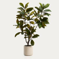 Plante artificielle Magnolia – vue détourée