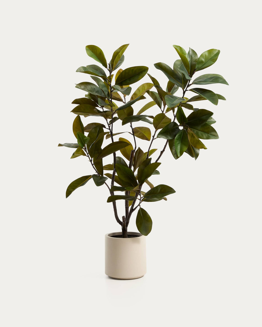 Plante artificielle Magnolia – vue détourée
