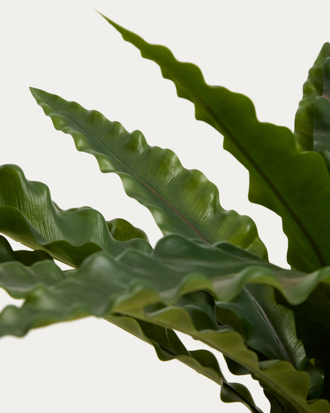 Plante artificielle Girona – vue de côté