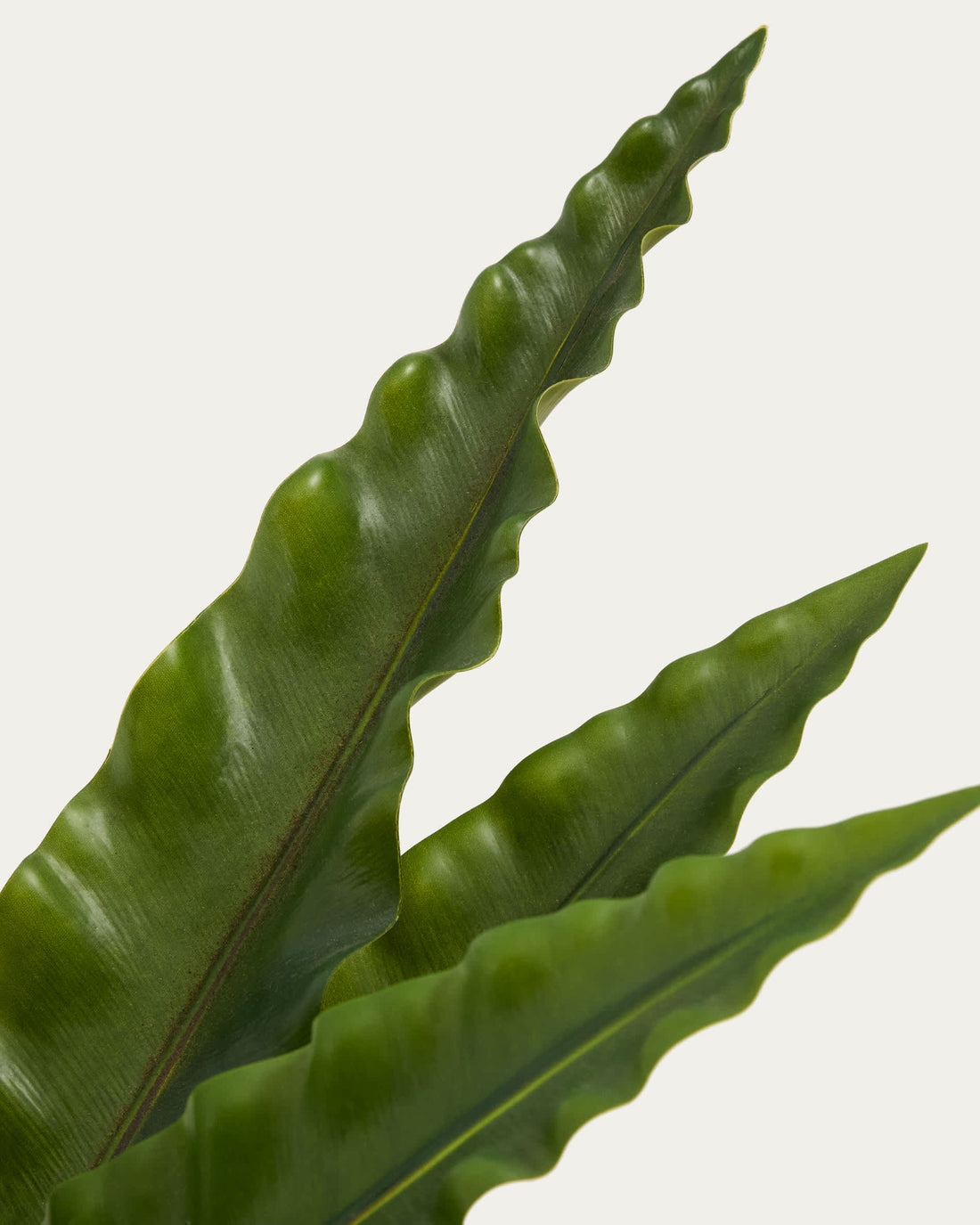 Plante artificielle Girona – vue de dos
