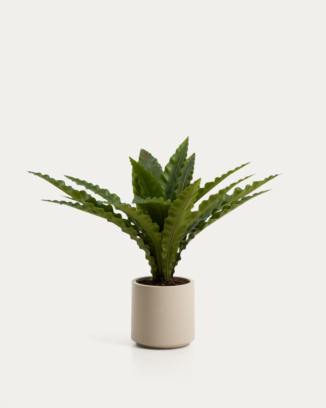 Plante artificielle Girona – vue détourée