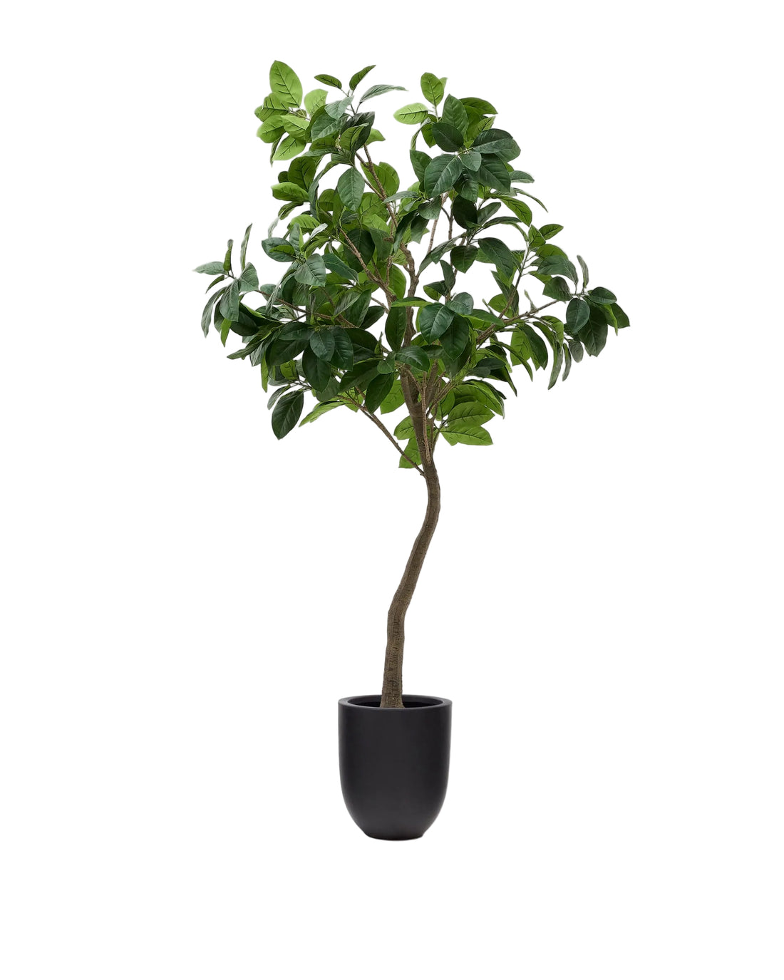 Plante artificielle Ficus avec pot noir 210 cm