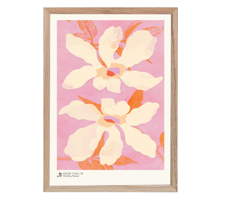 Affiche encadrée - Nacre