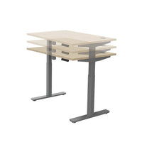 Castelet Sit-Stand Desk