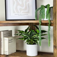 Plante artificielle Dieffenbachia