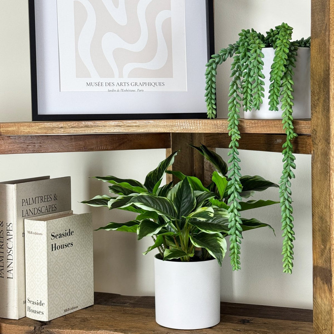 Plante artificielle Dieffenbachia