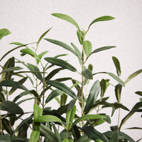 Plante artificielle Olivier – mise en ambiance
