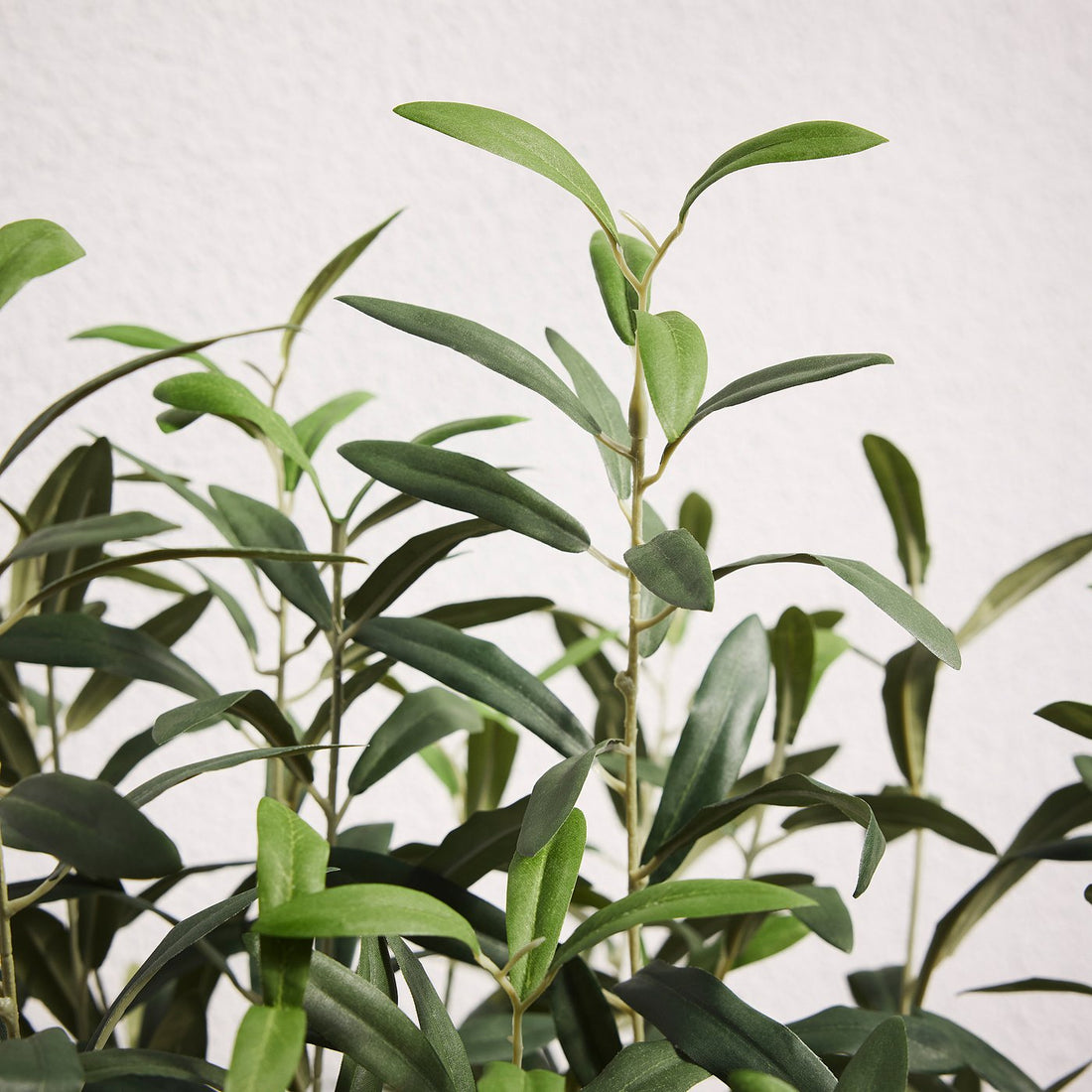Plante artificielle Olivier – mise en ambiance