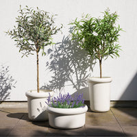 Plante artificielle Olivier – vue de détail