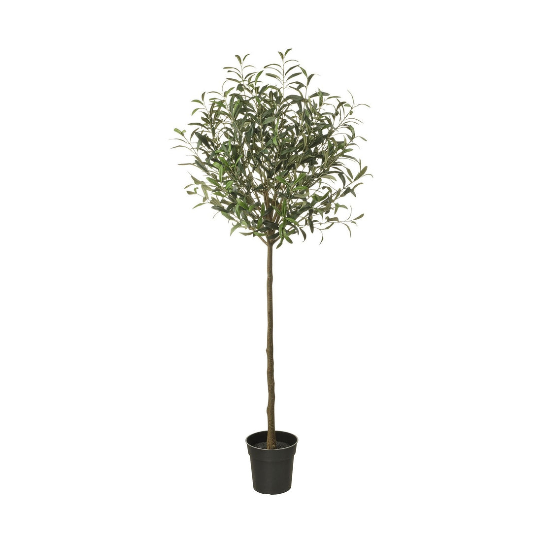 Plante artificielle Olivier – vue détourée