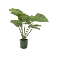 Artificial Alocasia plant
