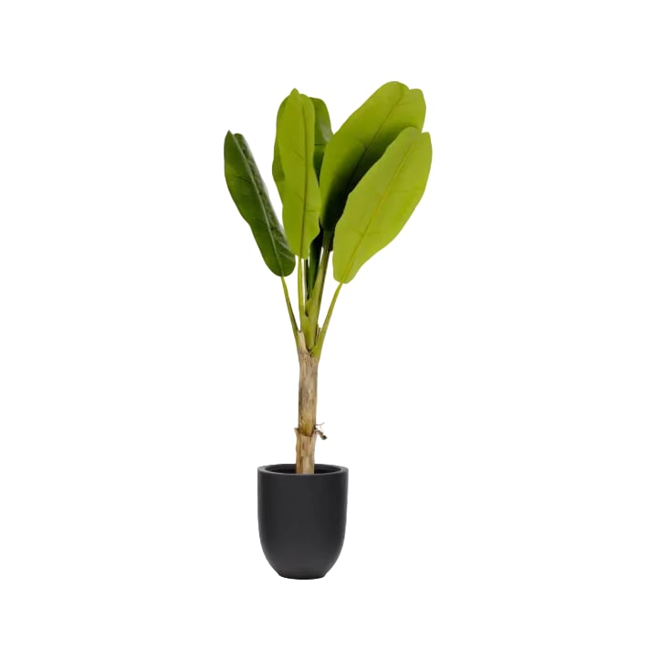 Plante artificielle Banano 160 cm