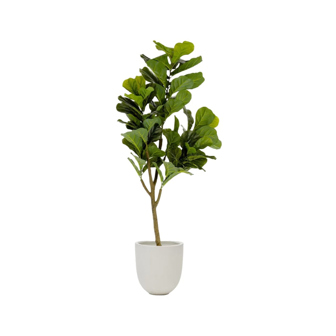 Plante artificielle Ficus