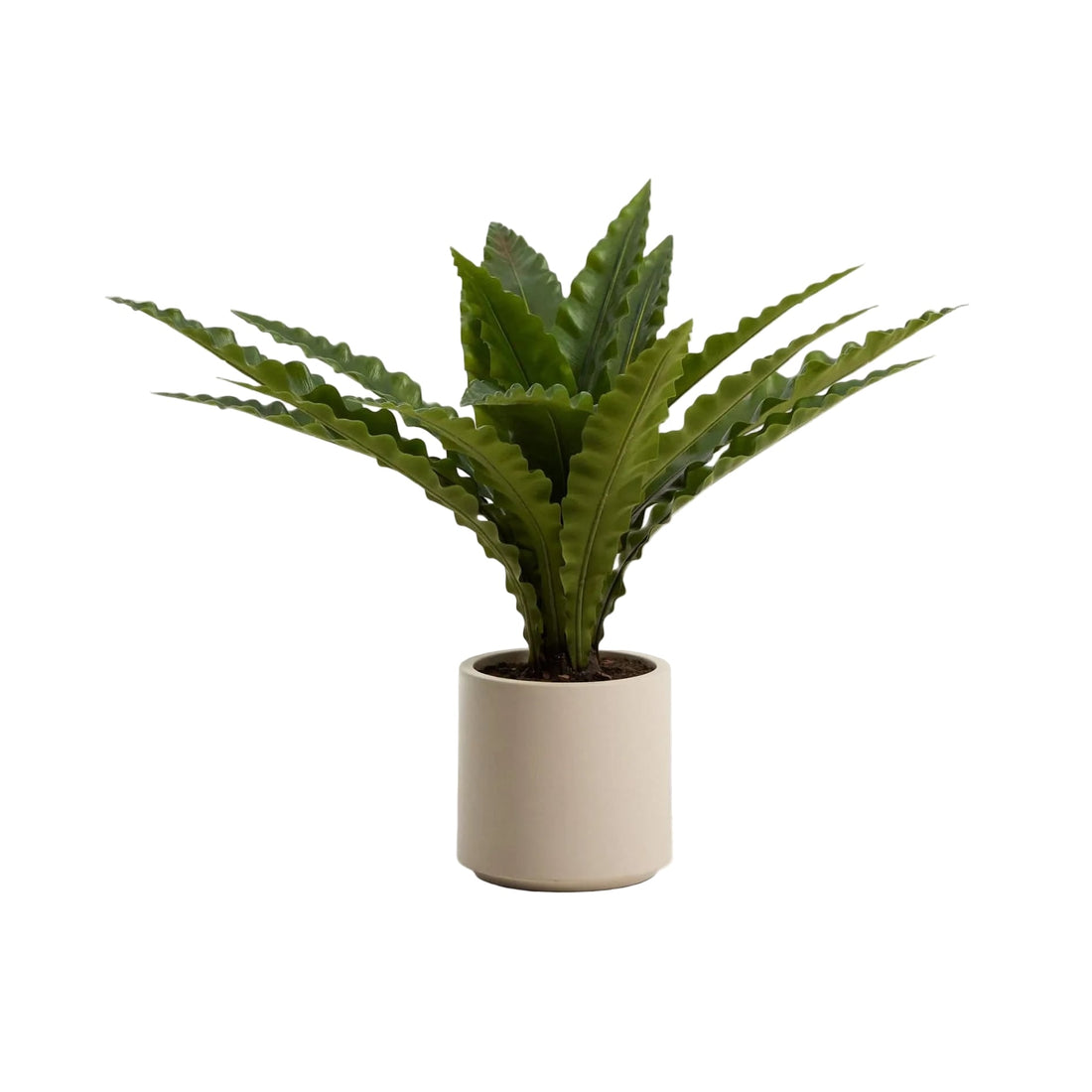 Plante artificielle Girona – vue détourée
