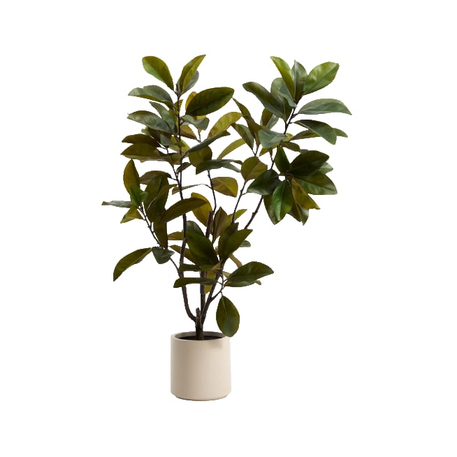 Artificial Magnolia Plant 160cm