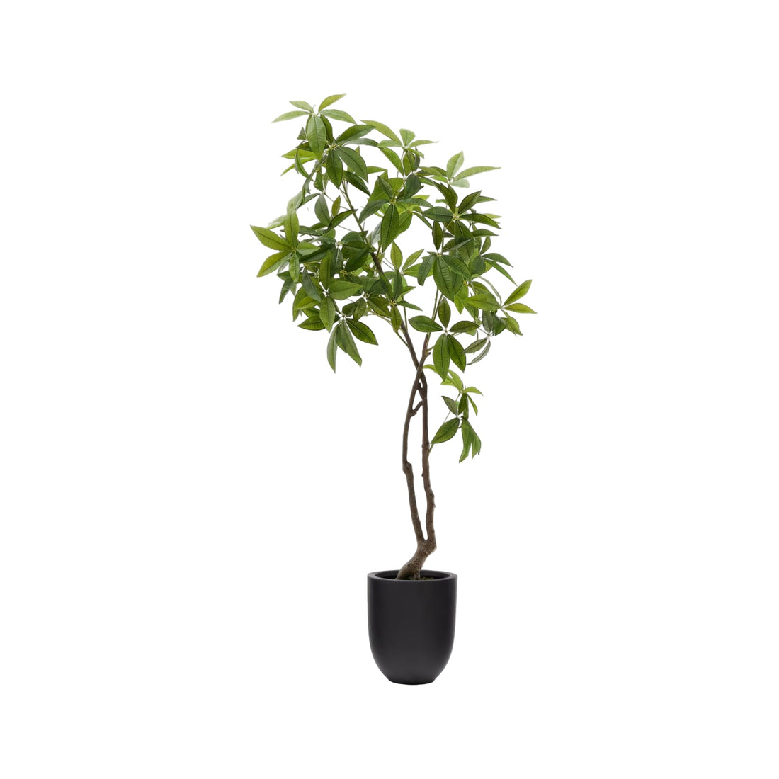 Plante artificielle Pachira