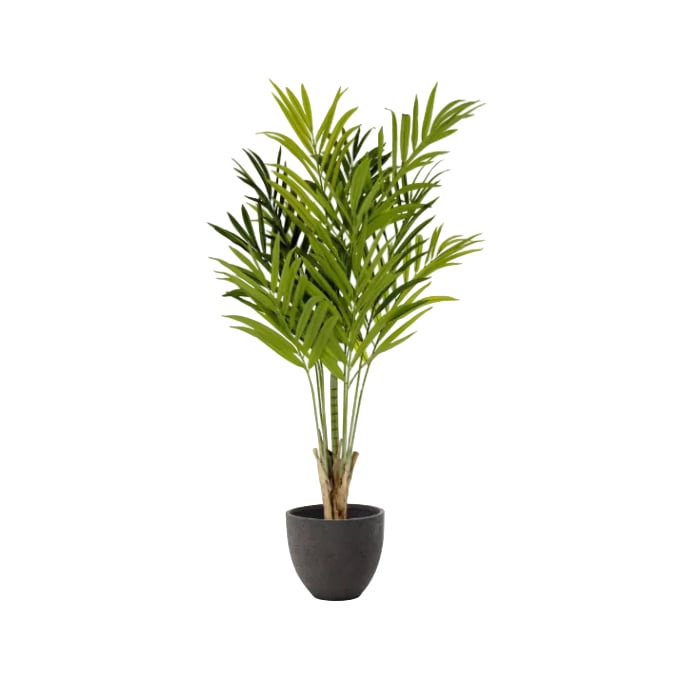 Plante artificielle Palmera 170 cm