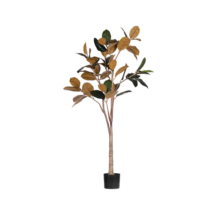 Plante artificielle Rubberboom