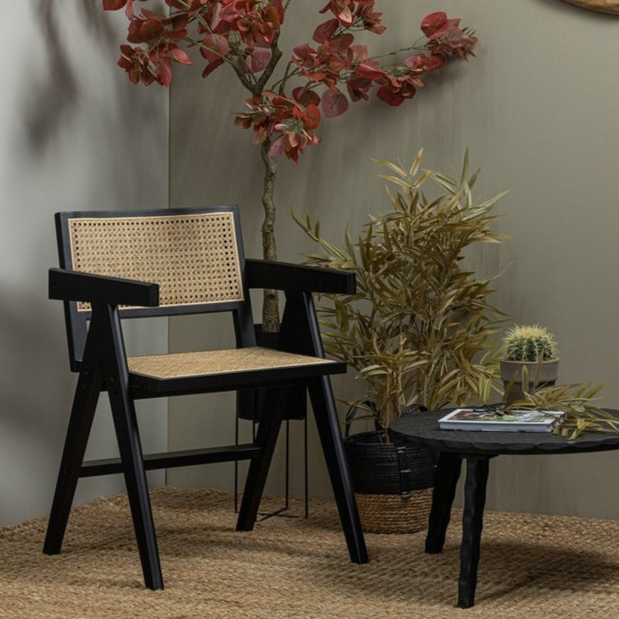Chaise Gunn (x2)