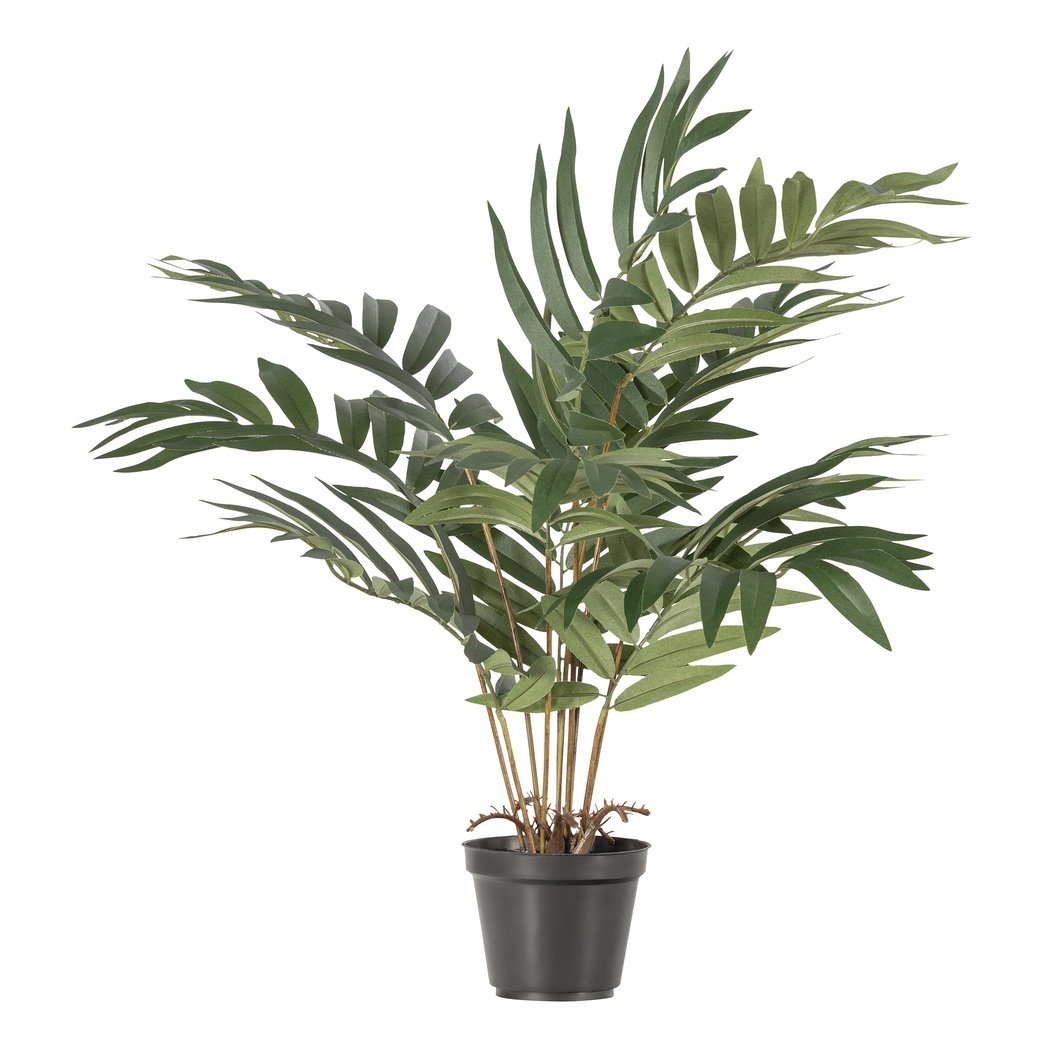 Plante artificielle Kwai