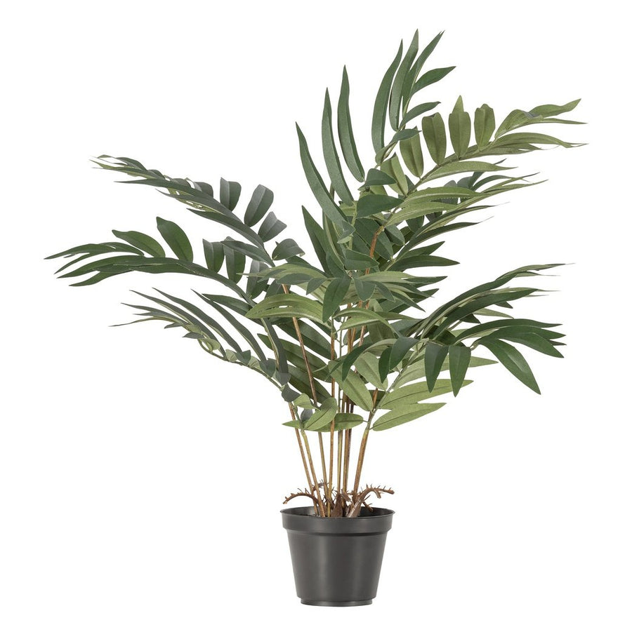 Plante artificielle Kwai