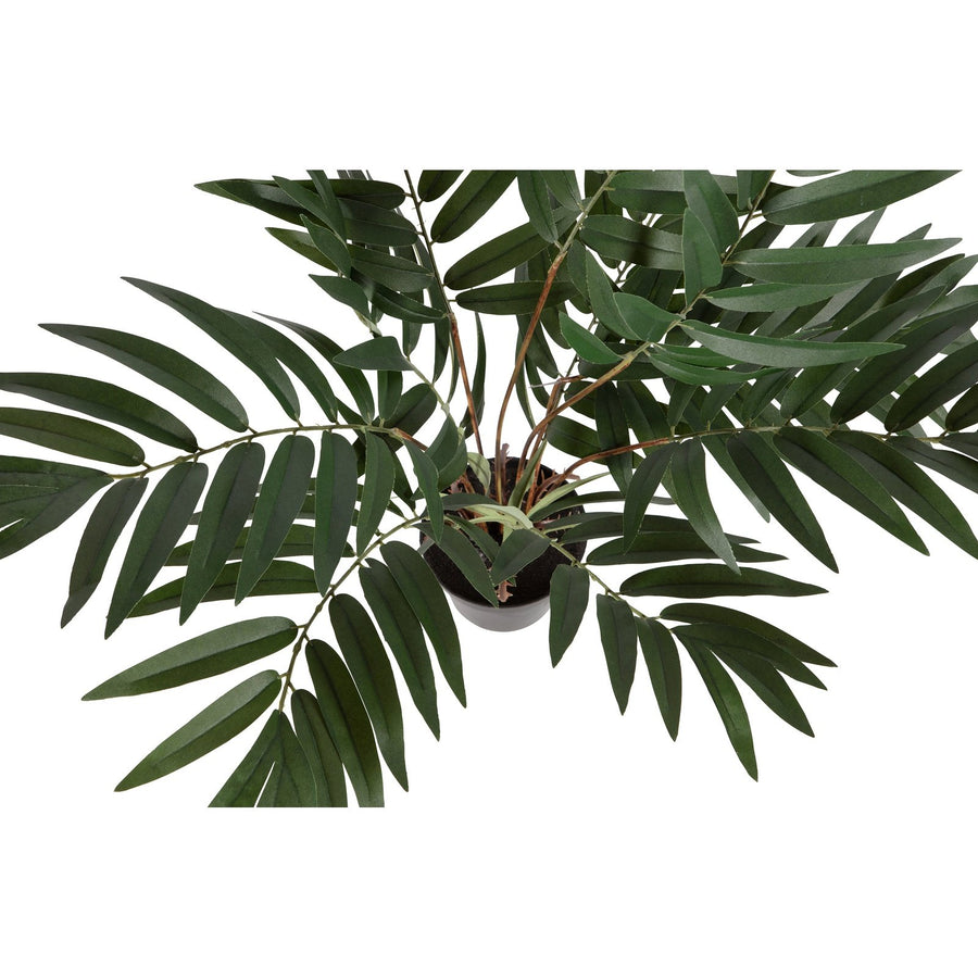 Plante artificielle Kwai