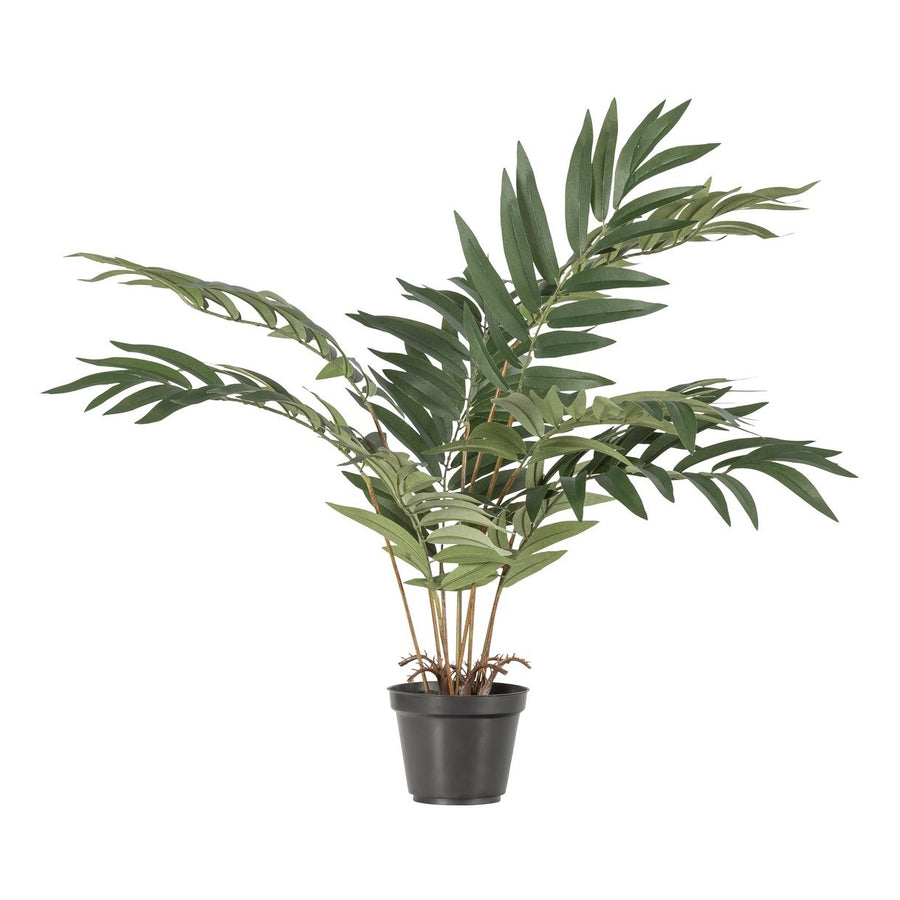Plante artificielle Kwai