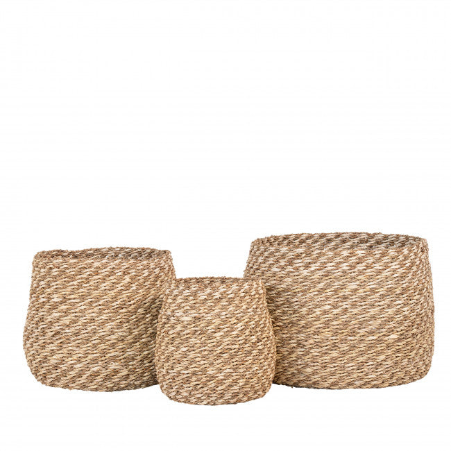 Lot de 3 paniers Venoso
